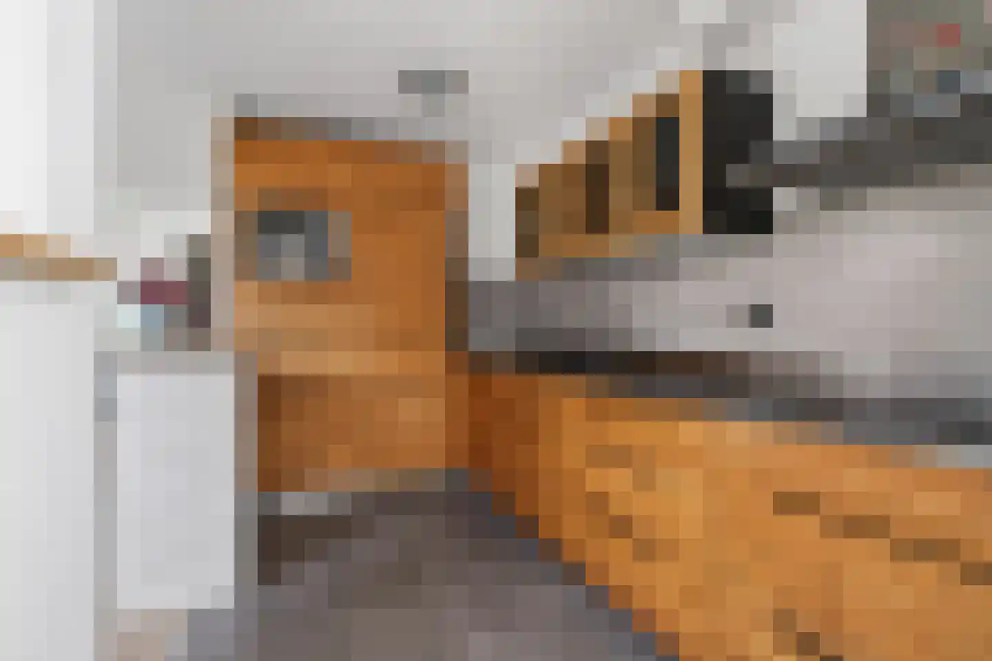 Fitissingel 188 Deurne thumbnail 4