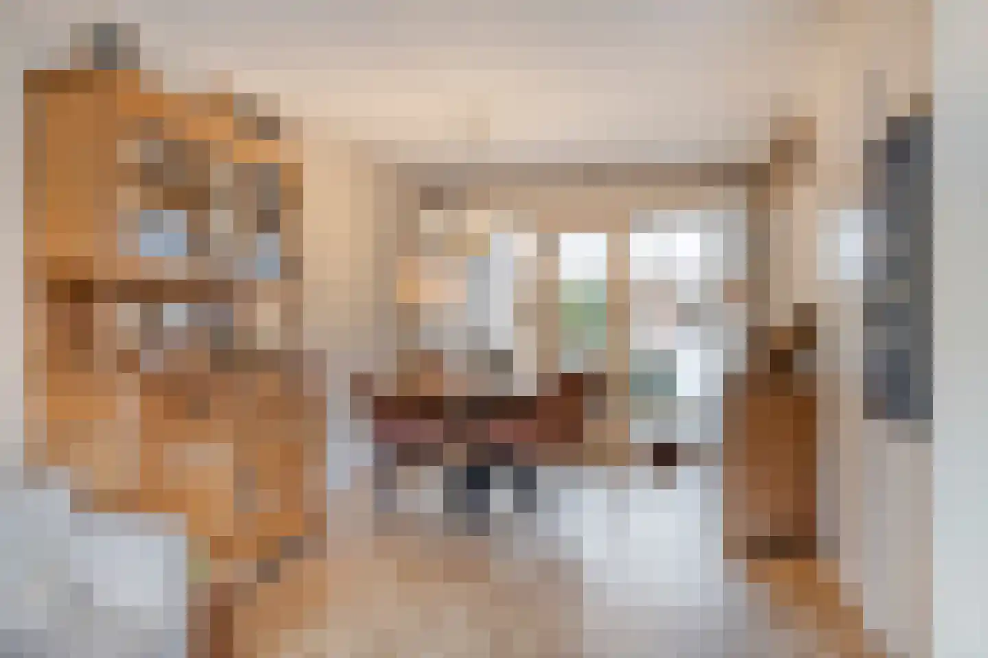 Fitissingel 24 Deurne thumbnail 12
