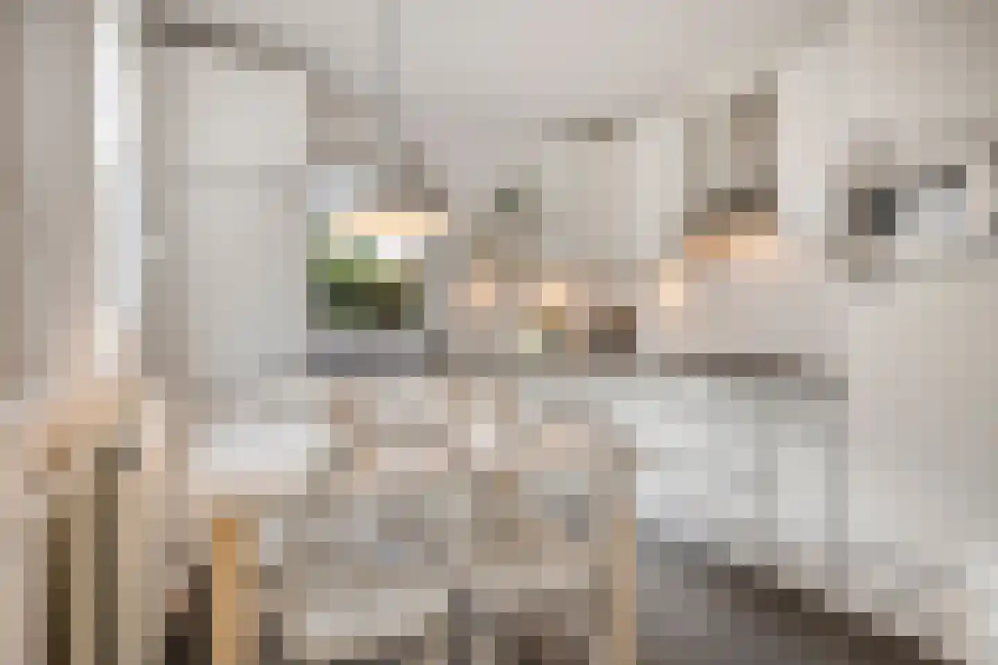Fitissingel 24 Deurne thumbnail 14