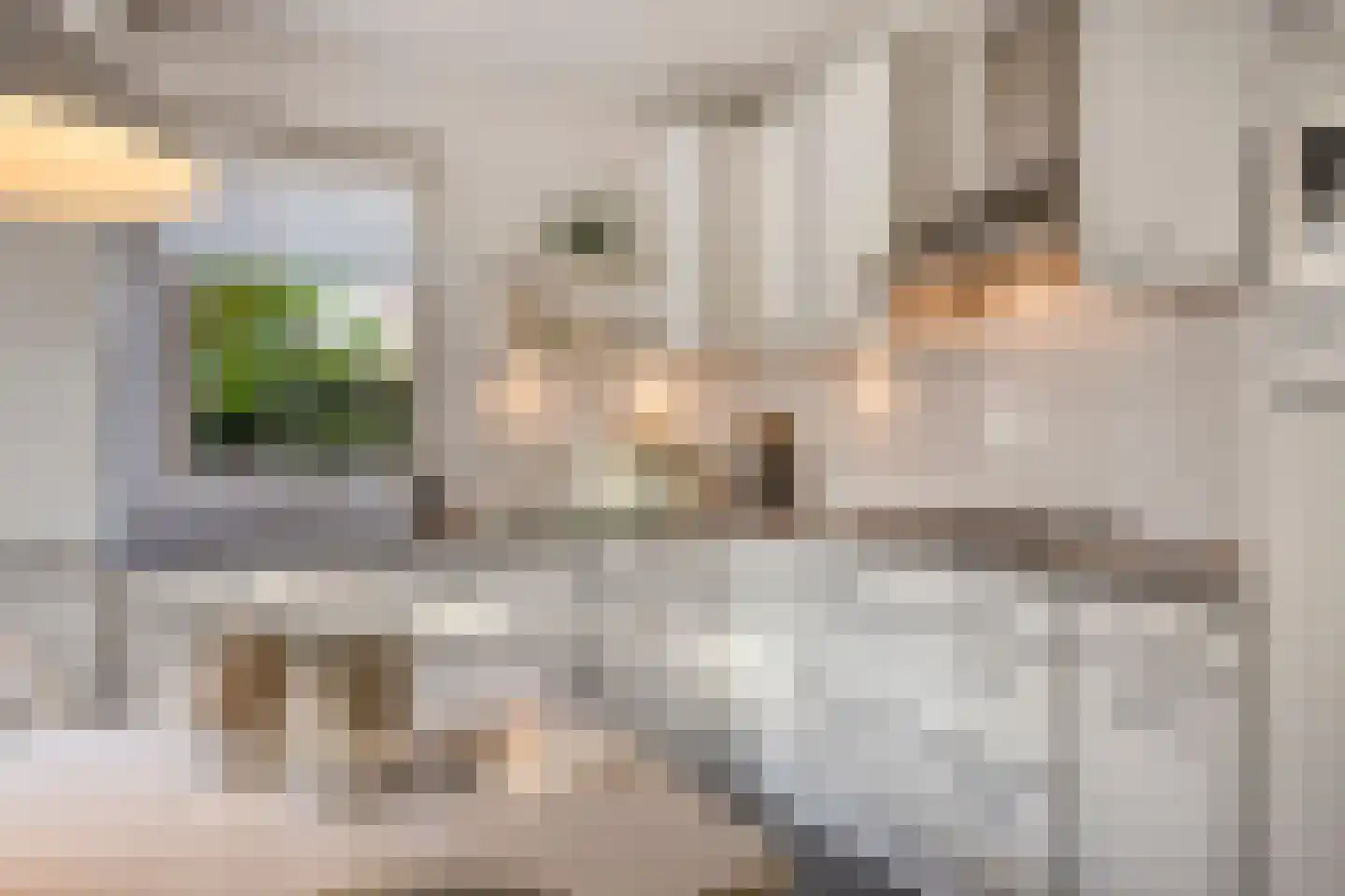 Fitissingel 24 Deurne thumbnail 15