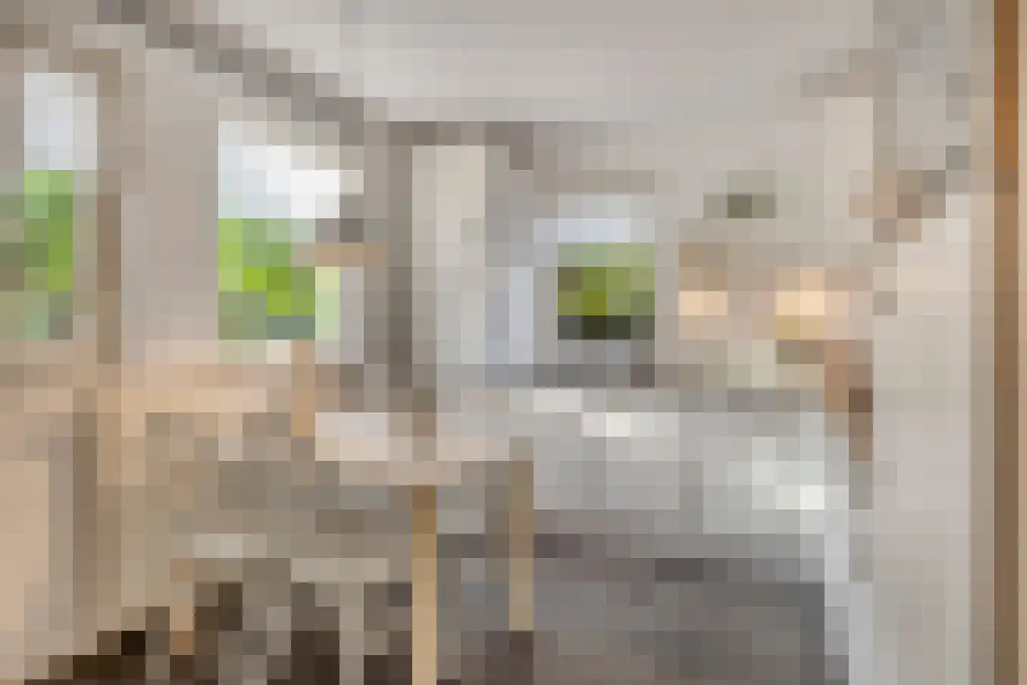 Fitissingel 24 Deurne thumbnail 17
