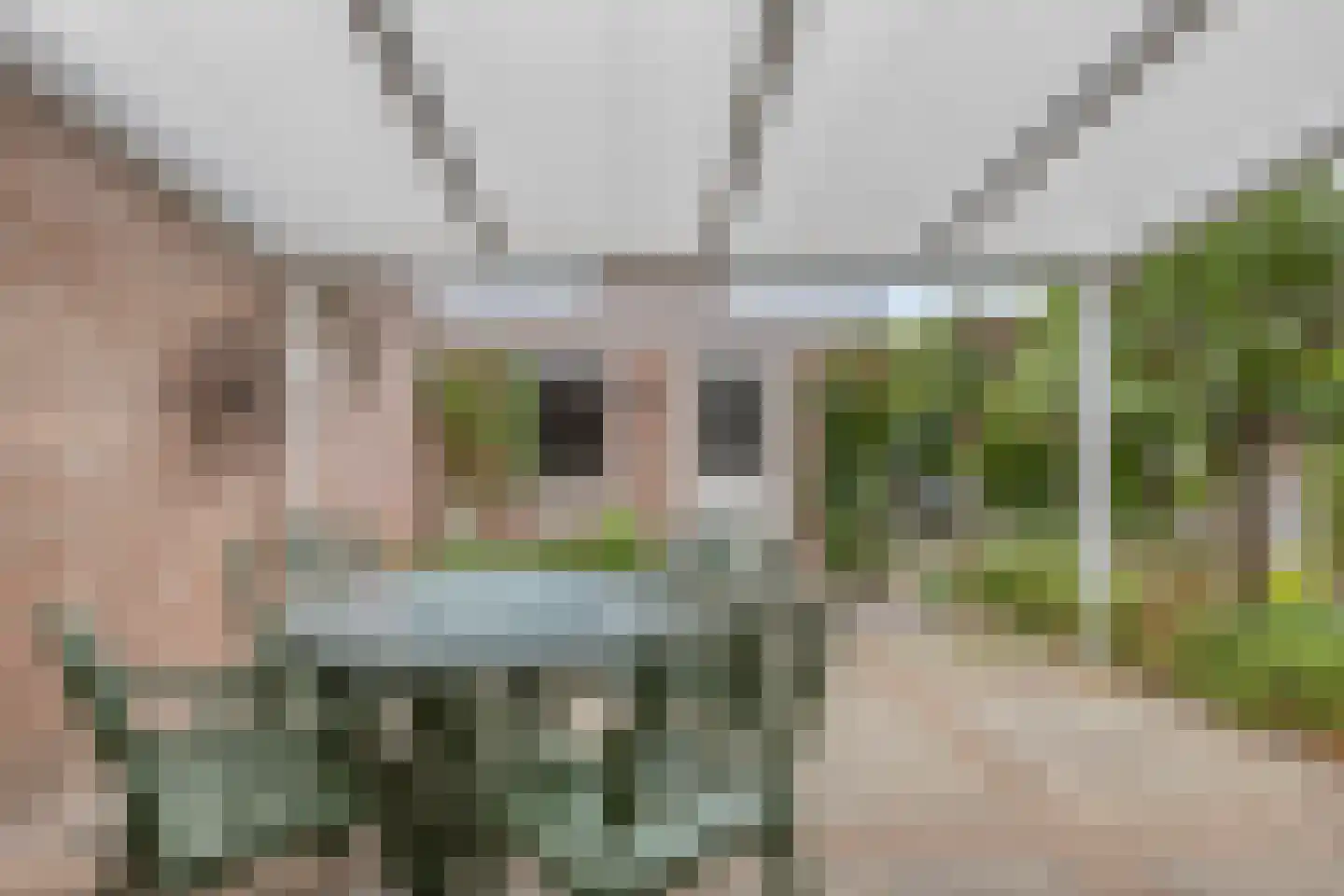 Fitissingel 24 Deurne thumbnail 31