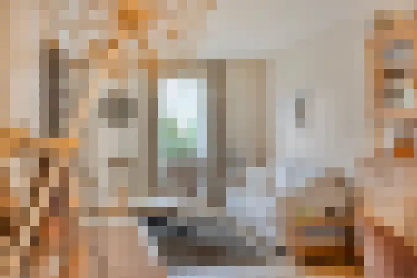 Fitissingel 24 Deurne thumbnail 9