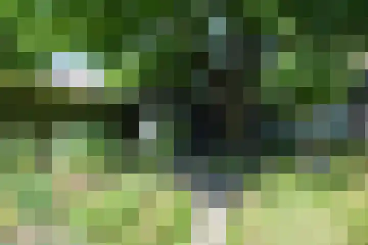Fitissingel 29 Deurne thumbnail 23