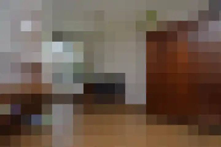 Fitissingel 29 Deurne thumbnail 7