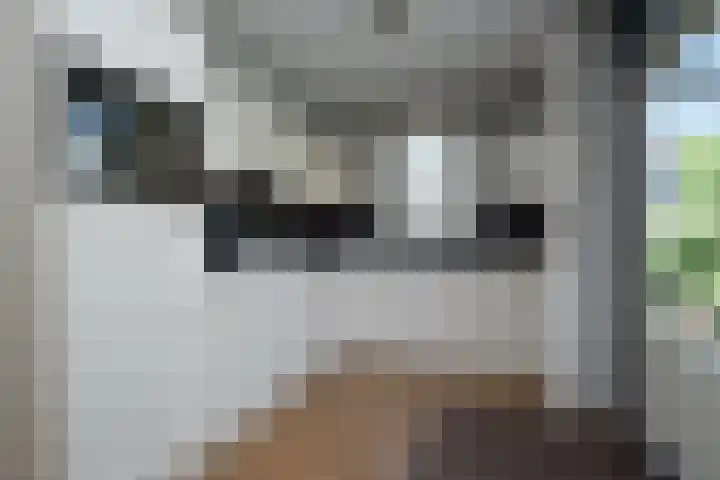 Fitissingel 29 Deurne thumbnail 9