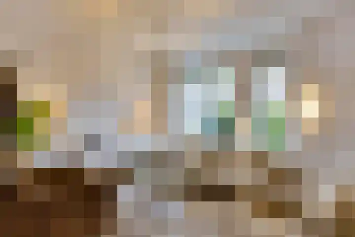 Fitissingel 37 Deurne thumbnail 10