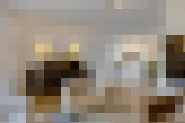 Fitissingel 37 Deurne thumbnail 11