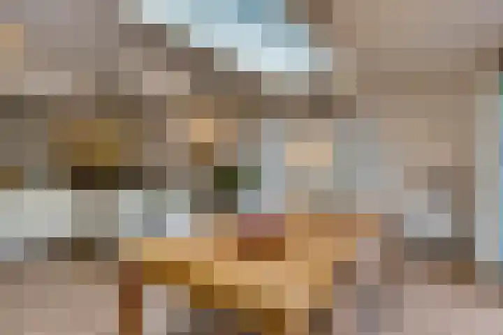 Fitissingel 37 Deurne thumbnail 18