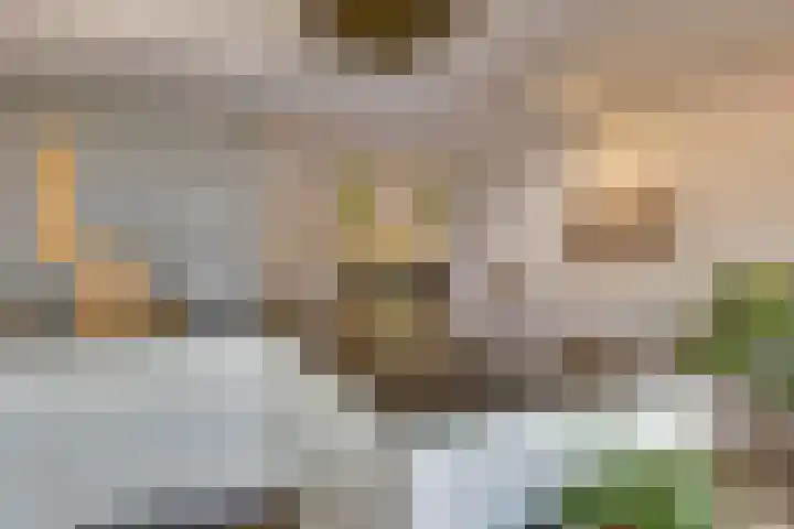 Fitissingel 37 Deurne thumbnail 23