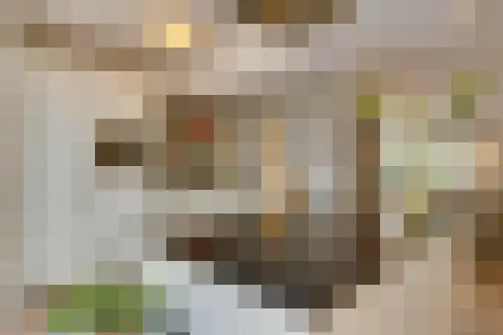 Fitissingel 37 Deurne thumbnail 24