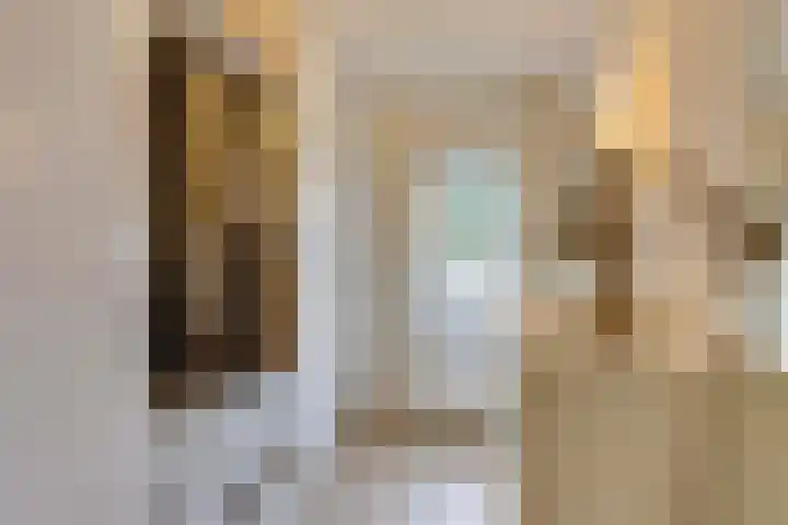 Fitissingel 37 Deurne thumbnail 29