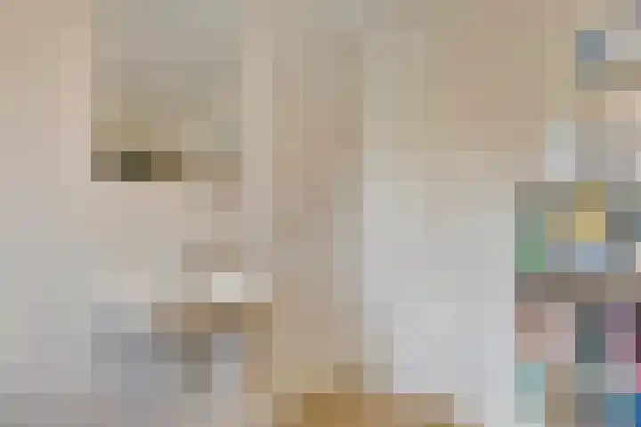 Fitissingel 37 Deurne thumbnail 32