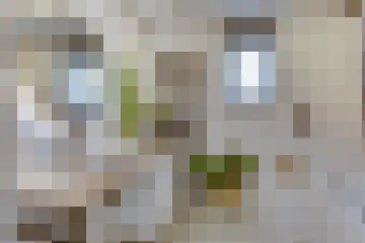 Fitissingel 37 Deurne thumbnail 33