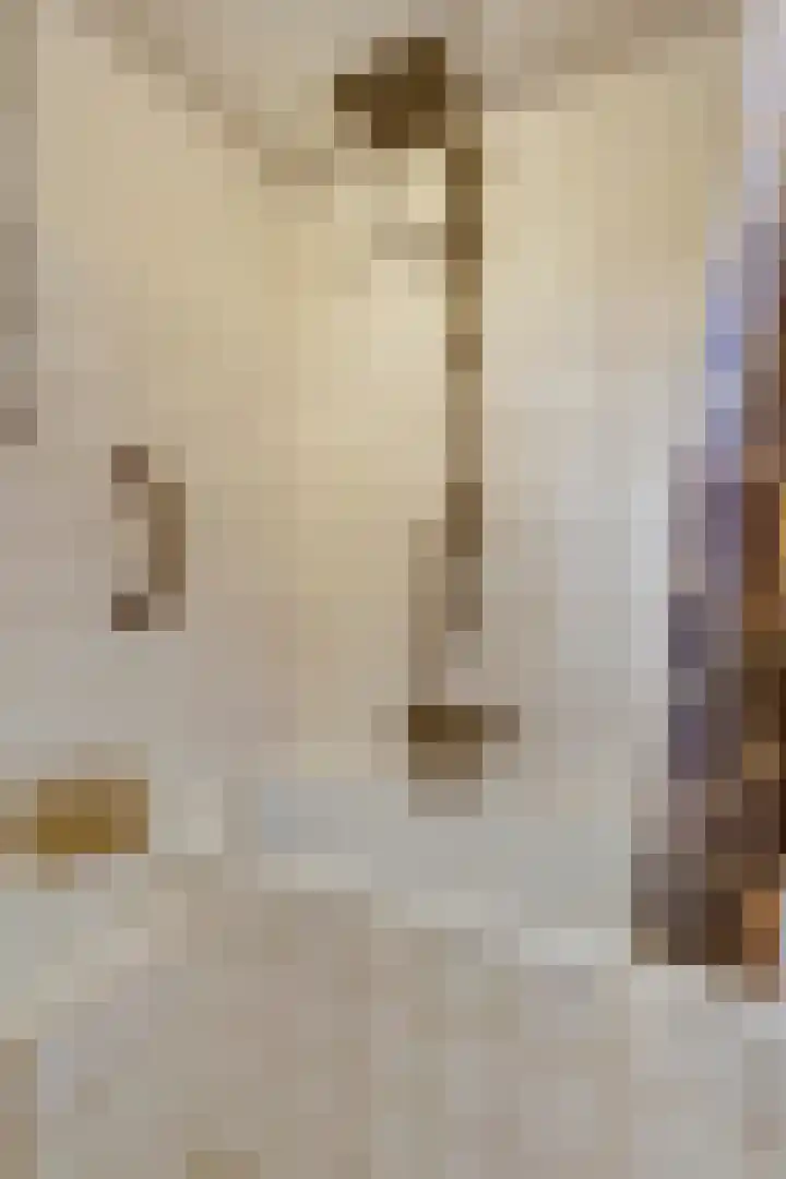 Fitissingel 37 Deurne thumbnail 35