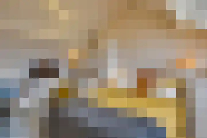 Fitissingel 37 Deurne thumbnail 37