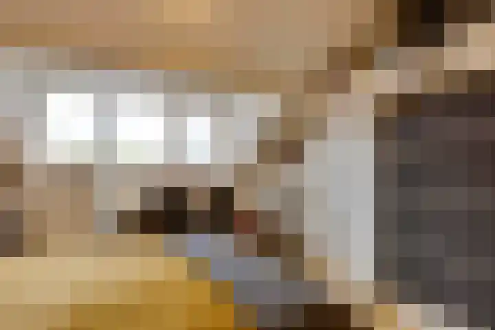 Fitissingel 37 Deurne thumbnail 38