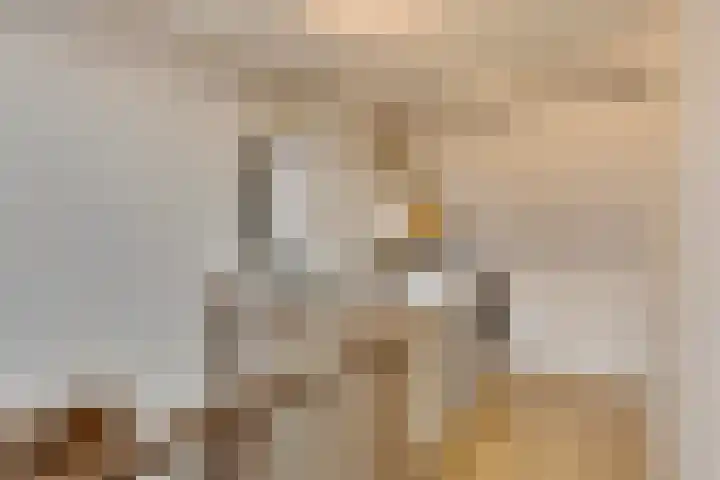 Fitissingel 37 Deurne thumbnail 39