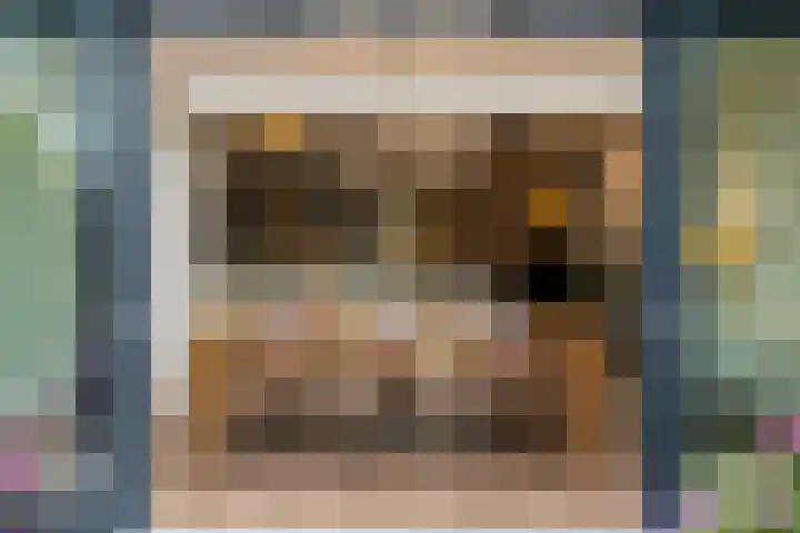 Fitissingel 37 Deurne thumbnail 40