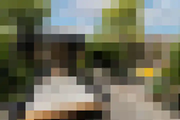 Fitissingel 37 Deurne thumbnail 42