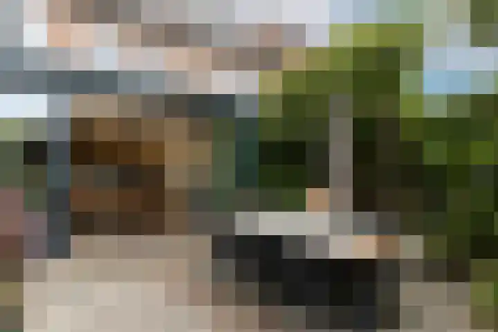 Fitissingel 37 Deurne thumbnail 44