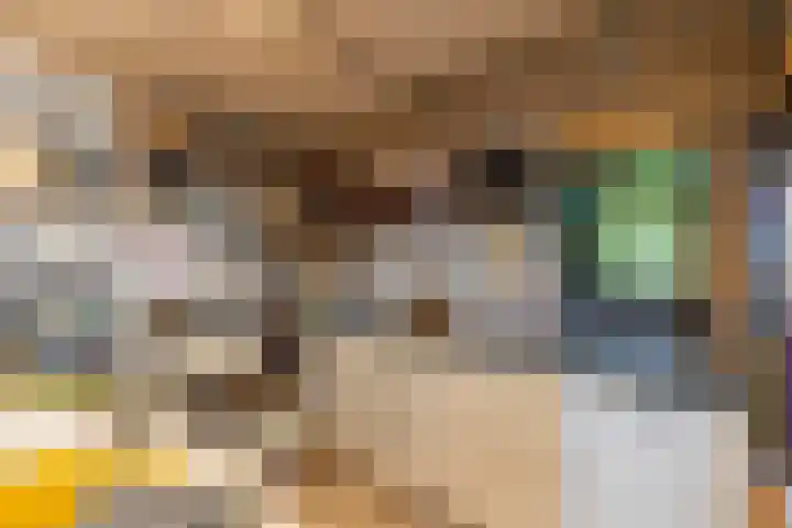 Fitissingel 37 Deurne thumbnail 51