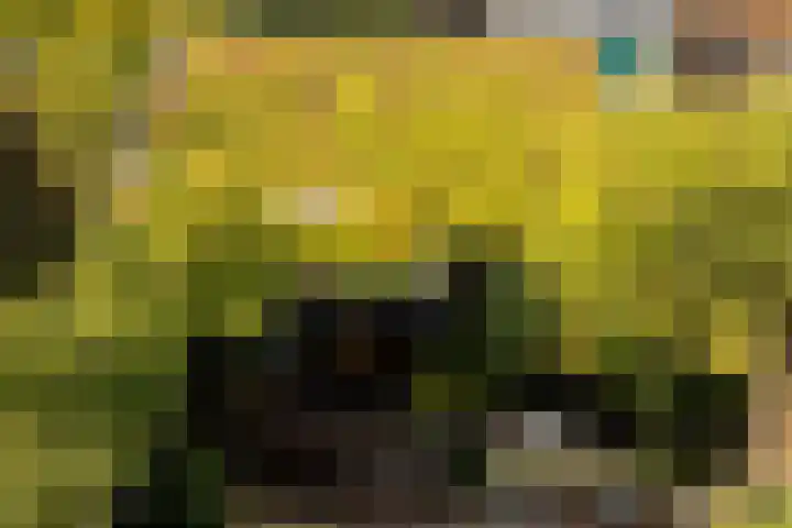 Fitissingel 37 Deurne thumbnail 53