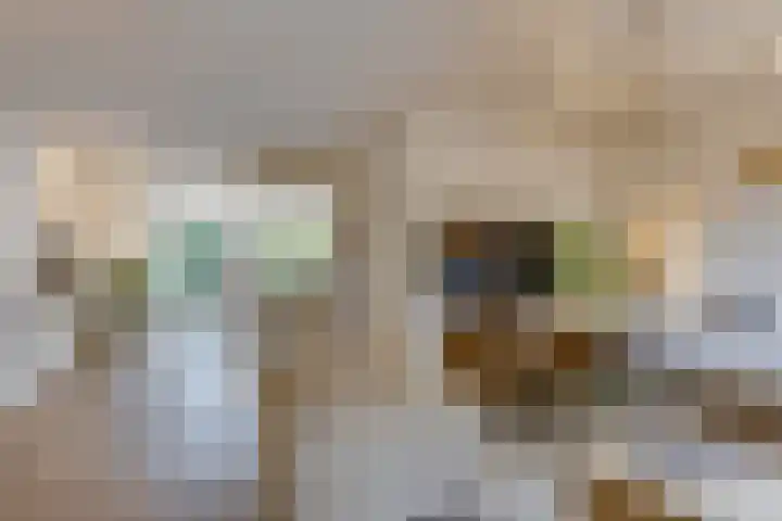 Fitissingel 37 Deurne thumbnail 8