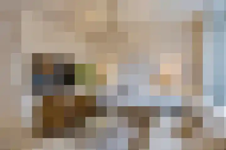 Fitissingel 37 Deurne thumbnail 9