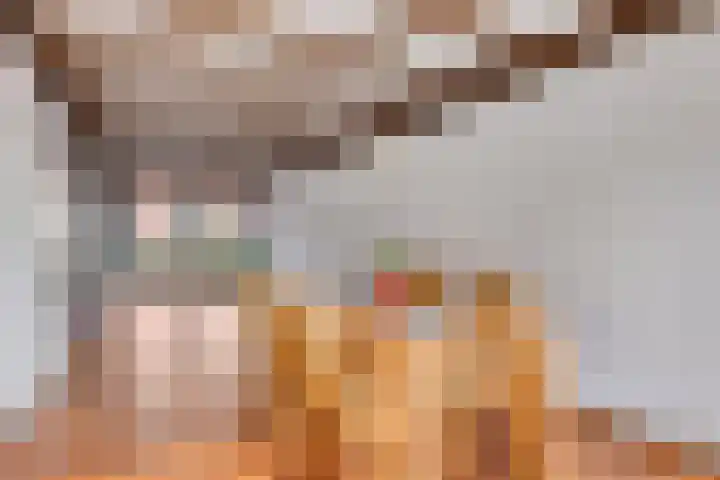 Fitissingel 4 Deurne thumbnail 14