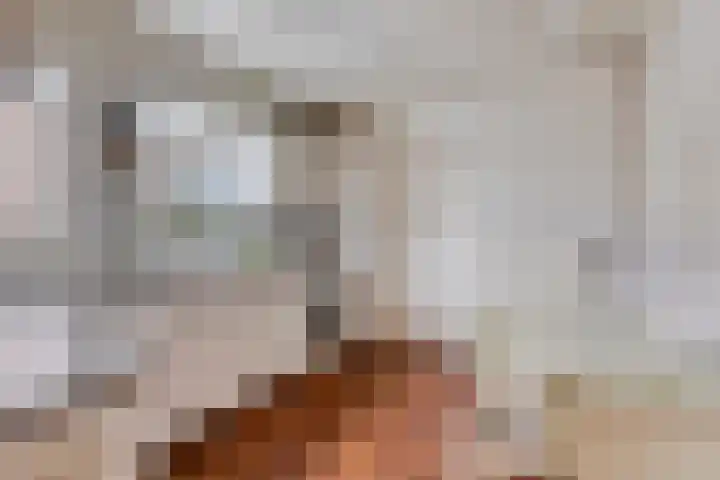 Fitissingel 4 Deurne thumbnail 15