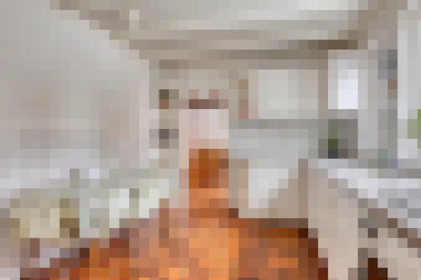 Fitissingel 4 Deurne thumbnail 15