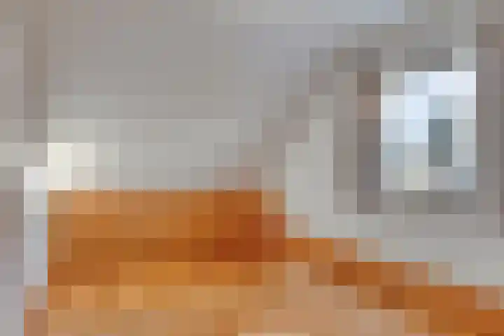 Fitissingel 4 Deurne thumbnail 26