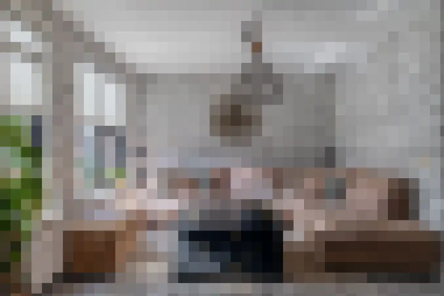 Fitissingel 61 Deurne thumbnail 16