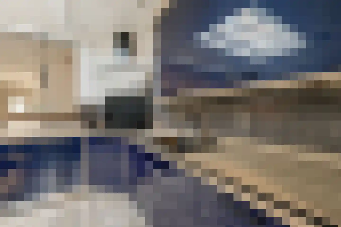 Fitissingel 61 Deurne thumbnail 24