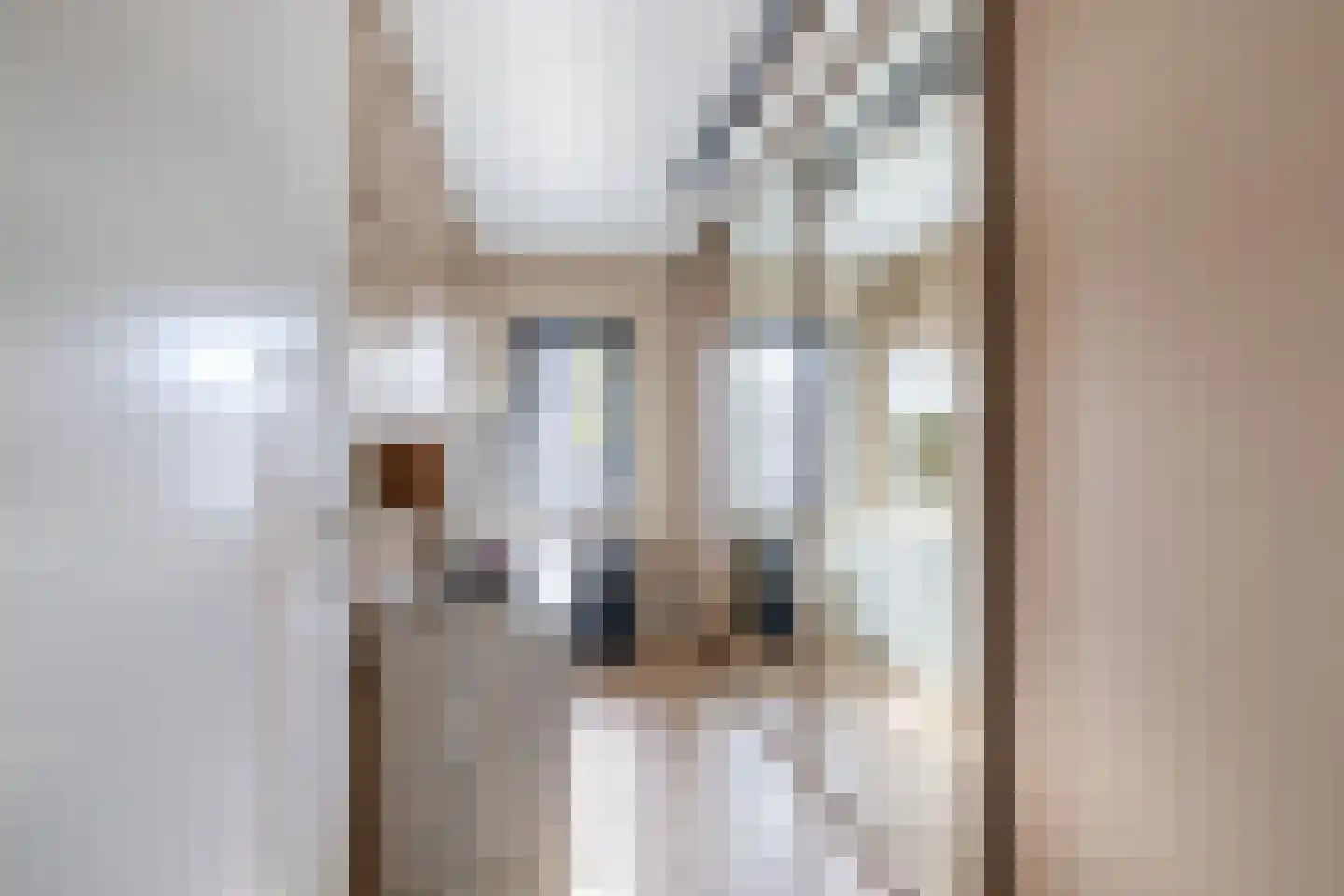 Fitissingel 61 Deurne thumbnail 30