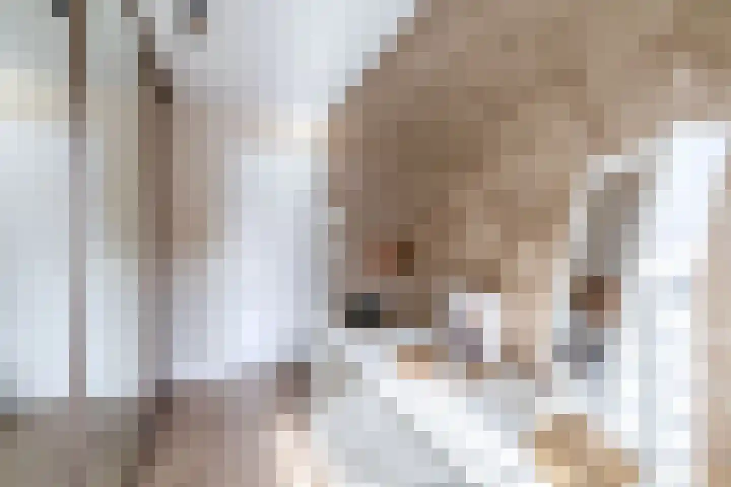 Fitissingel 61 Deurne thumbnail 31