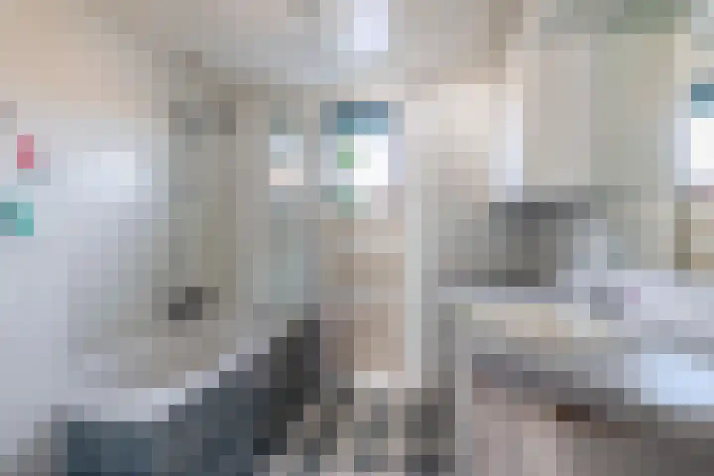 Fitissingel 61 Deurne thumbnail 36