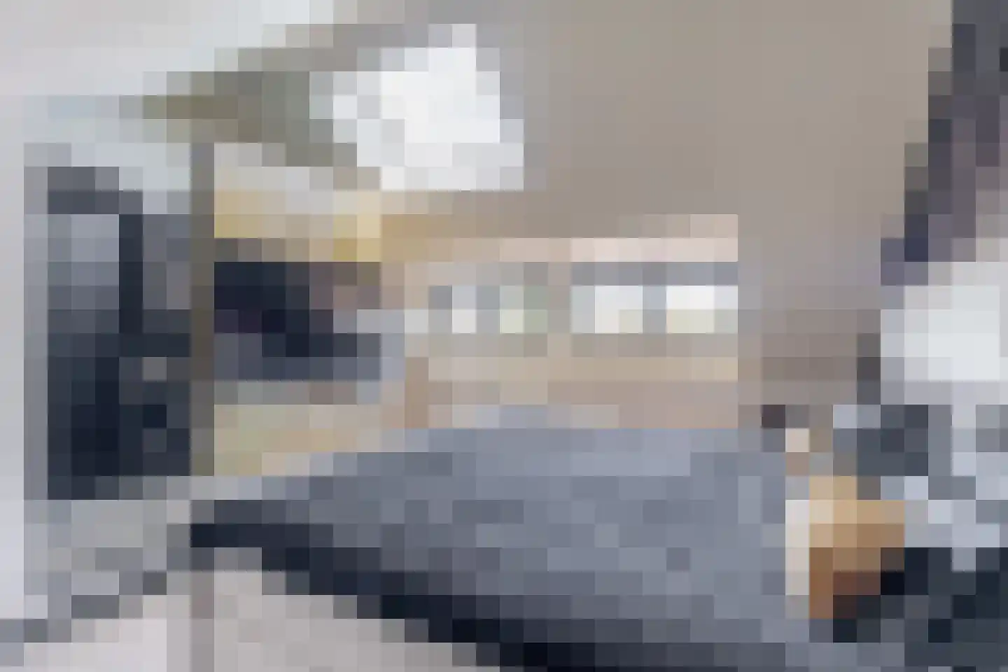 Fitissingel 61 Deurne thumbnail 40