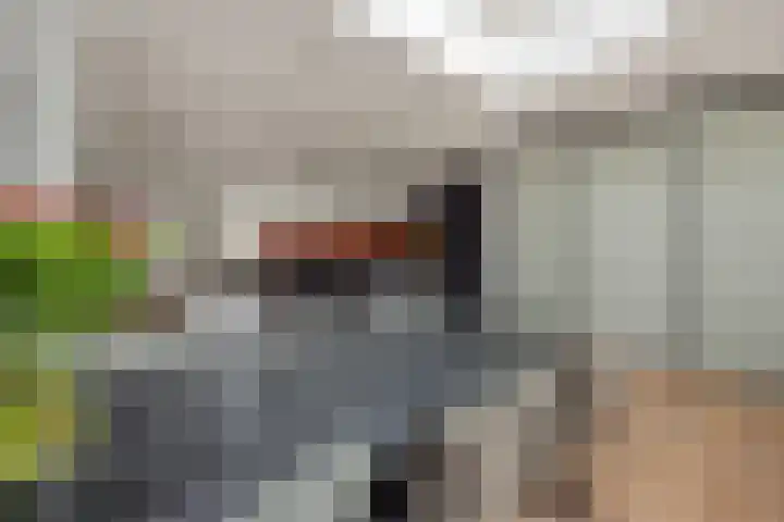 Fitissingel 79 Deurne thumbnail 16