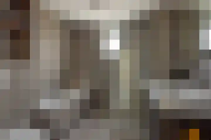 Fitissingel 79 Deurne thumbnail 23