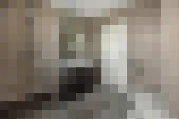 Fitissingel 79 Deurne thumbnail 24
