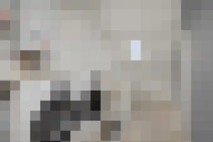 Fitissingel 79 Deurne thumbnail 28