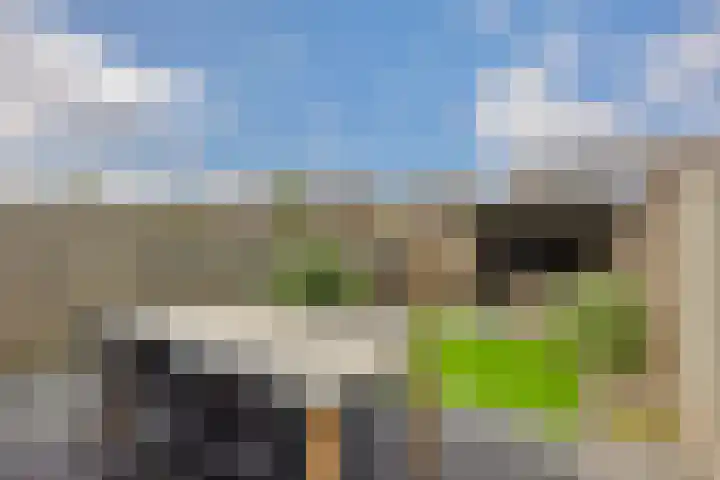 Fitissingel 79 Deurne thumbnail 31