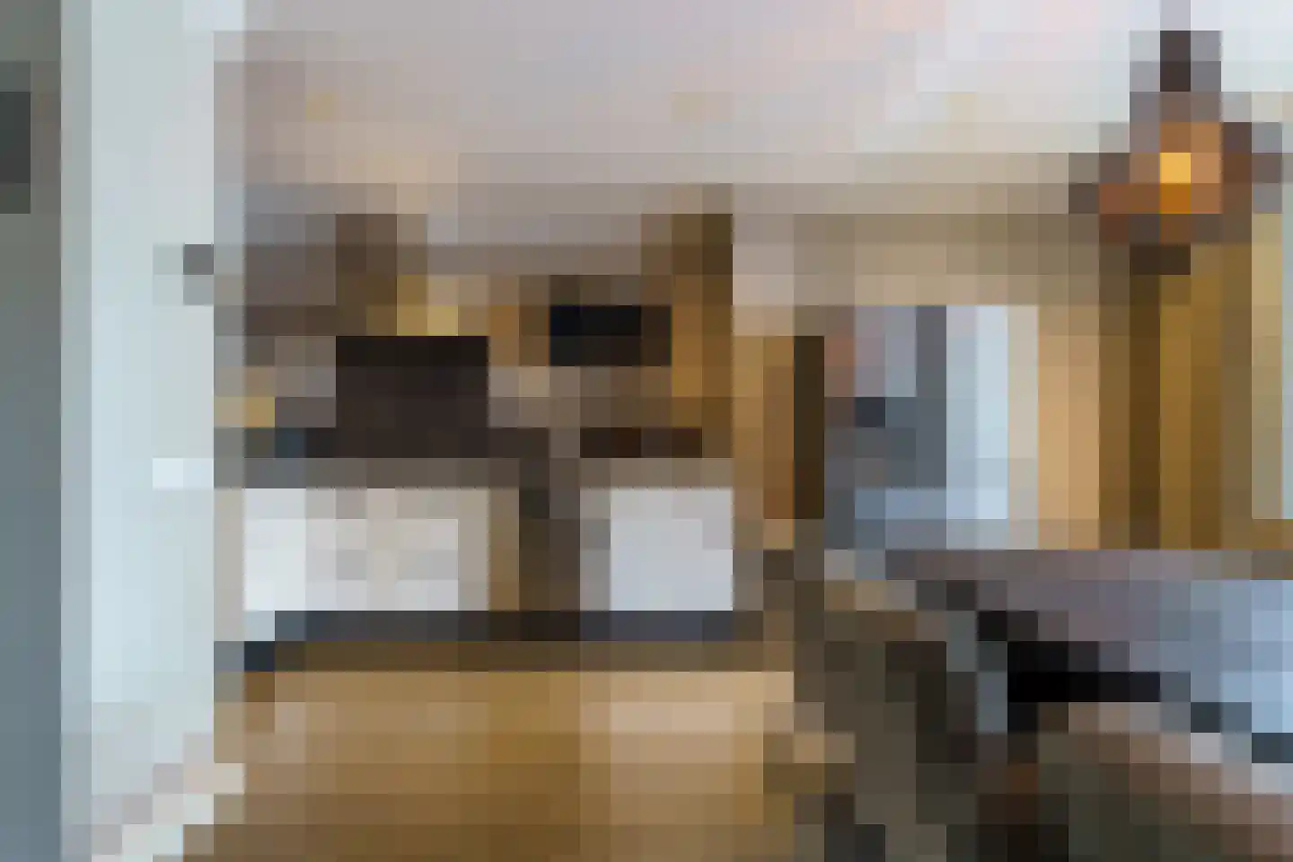 Fitisstraat 9 Helmond thumbnail 12