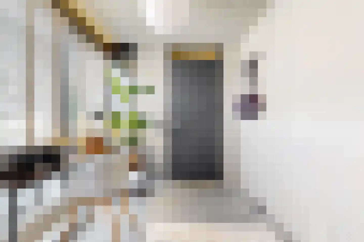 Fitterstraat 55 Leiden thumbnail 8