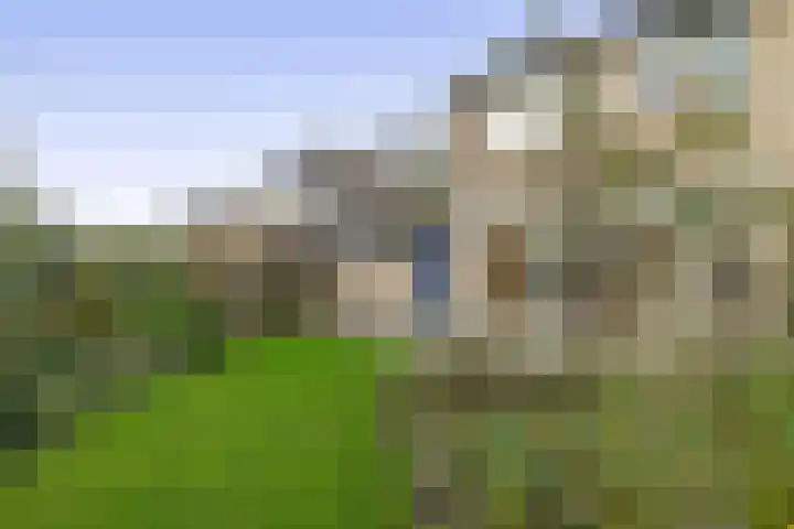 Fivel 10 Drachten thumbnail 29