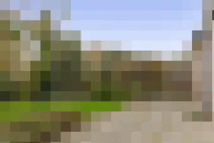Fivel 10 Drachten thumbnail 31