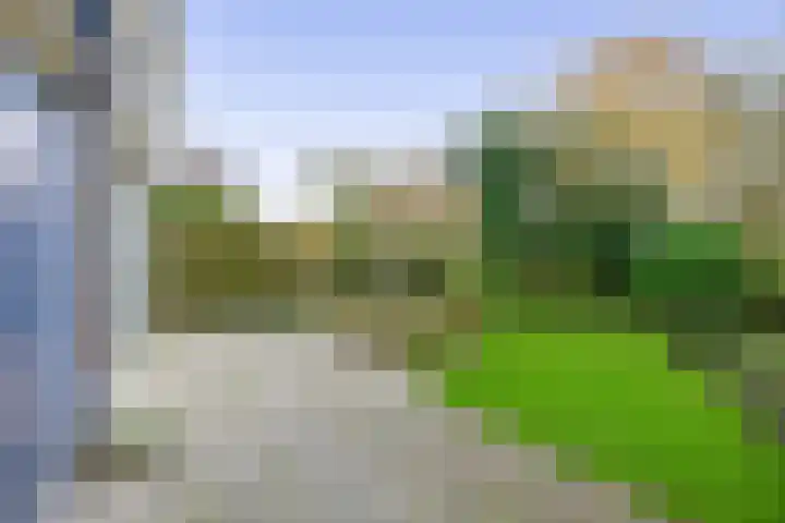 Fivel 10 Drachten thumbnail 32