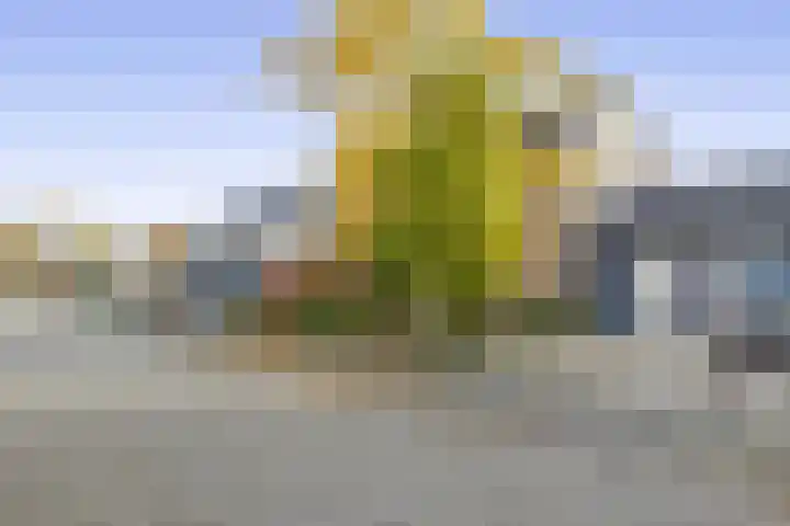 Fivel 10 Drachten thumbnail 33